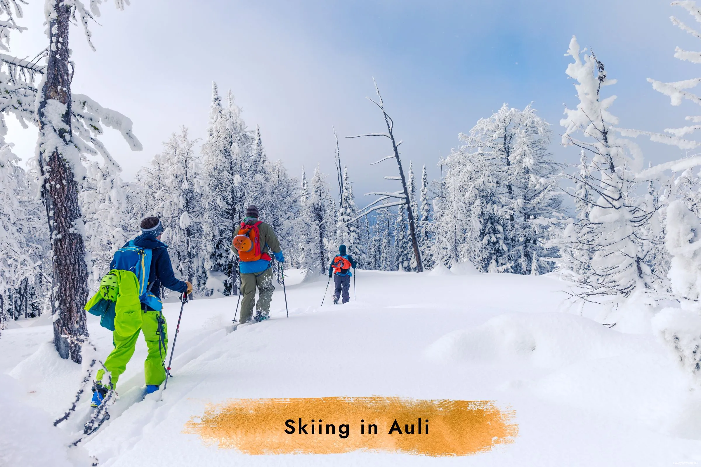 Auli Chopta Group Tour from Haridwar 2