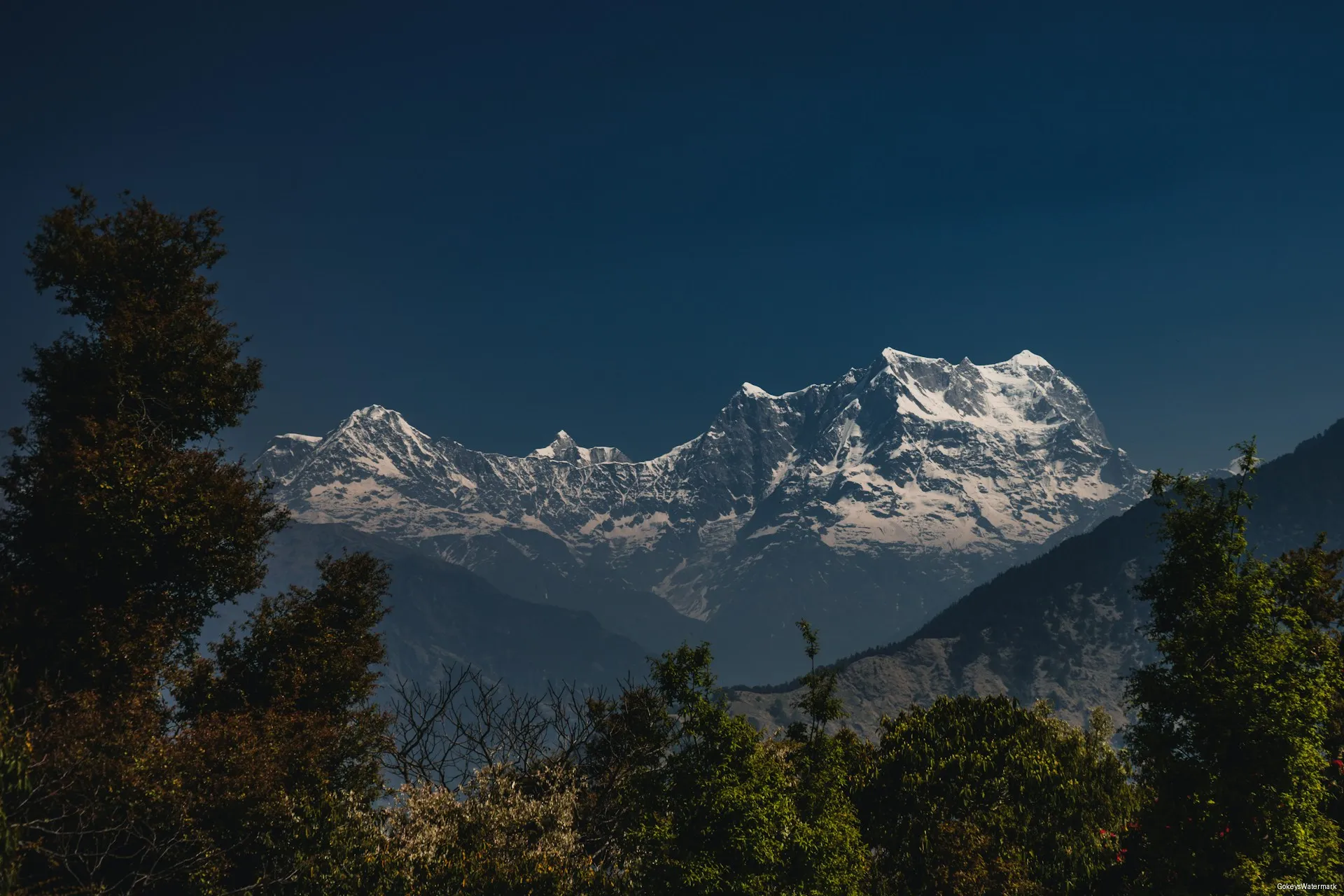 Munsiyari Travel Guide