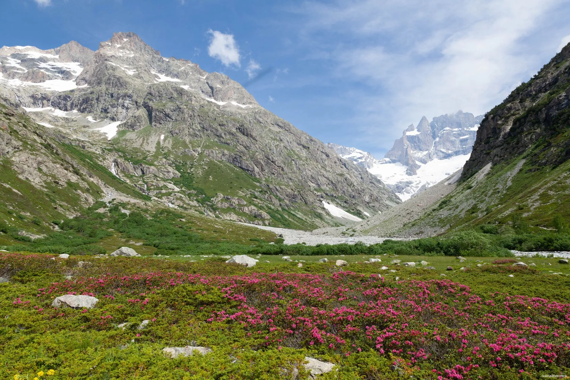 Valley Of Flowers (3)