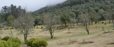 Khirsu Travel Guide: Discover Uttarakhand's Hidden Himalayan Paradise