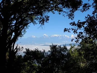 Binsar (4)