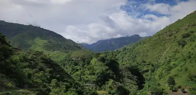 Tiger Falls Chakrata: Complete Guide to India's Highest Direct Waterfall