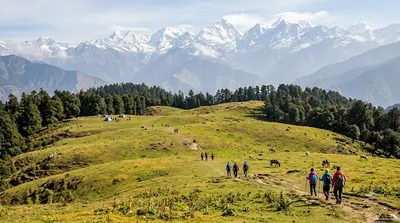 Gorson Bugyal Trek from Auli: Route, Distance, Best Time and Tips