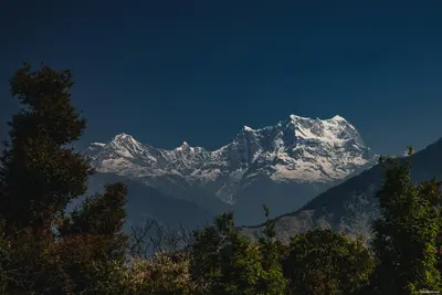 Munsiyari Travel Guide