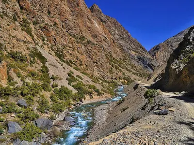 Nelong Valley Travel and Permit Guide: How to Visit the 'Ladakh of Uttarakhand'