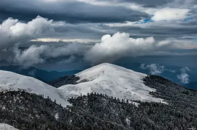 Best Places to Visit in Uttarakhand in January