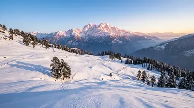 Auli vs Chopta: Which Should You Choose?