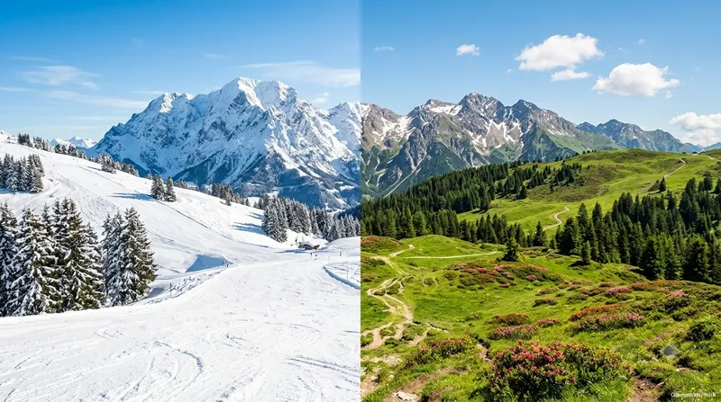 Auli During Winter And Summer