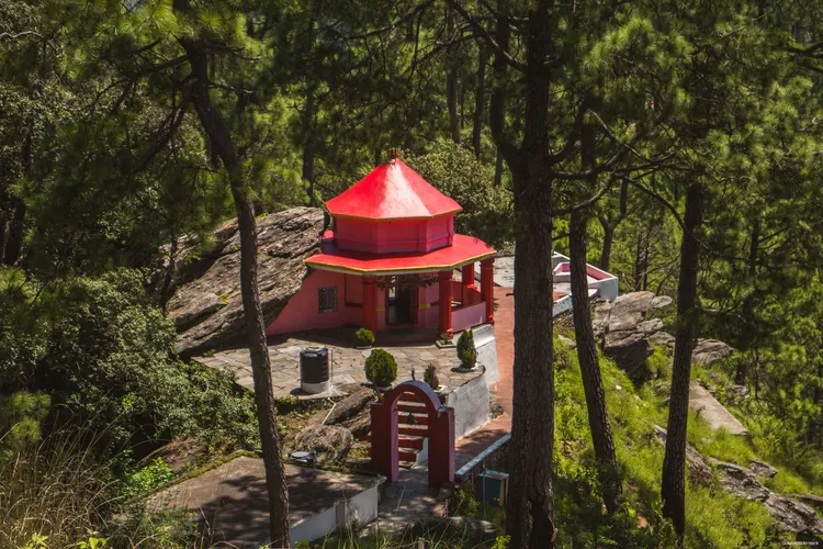 Binsar (5)