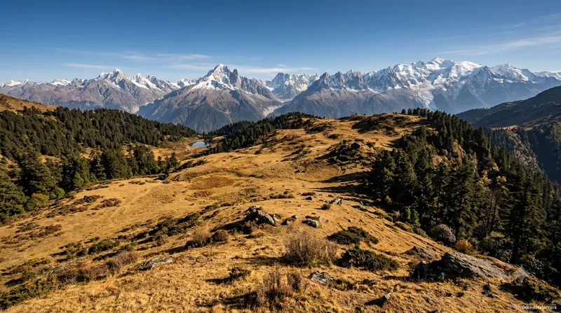 Chopta Meadows