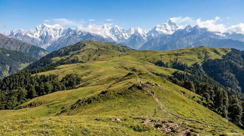 Gorson Bugyal Mountain Views
