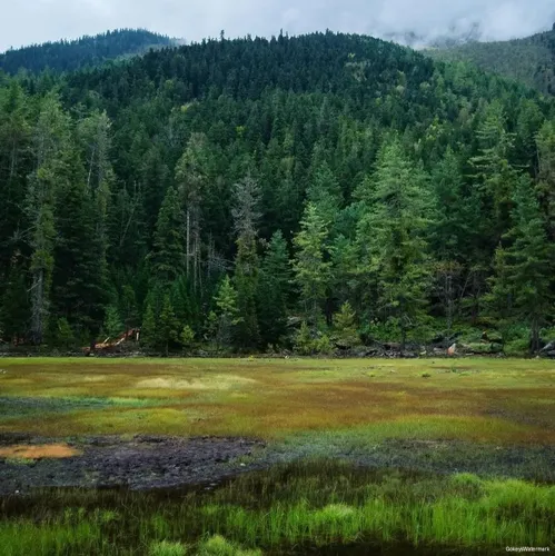 Sattal Trek Harsil (3)