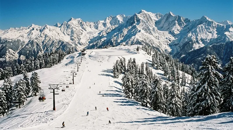 Skiing In Auli Winter